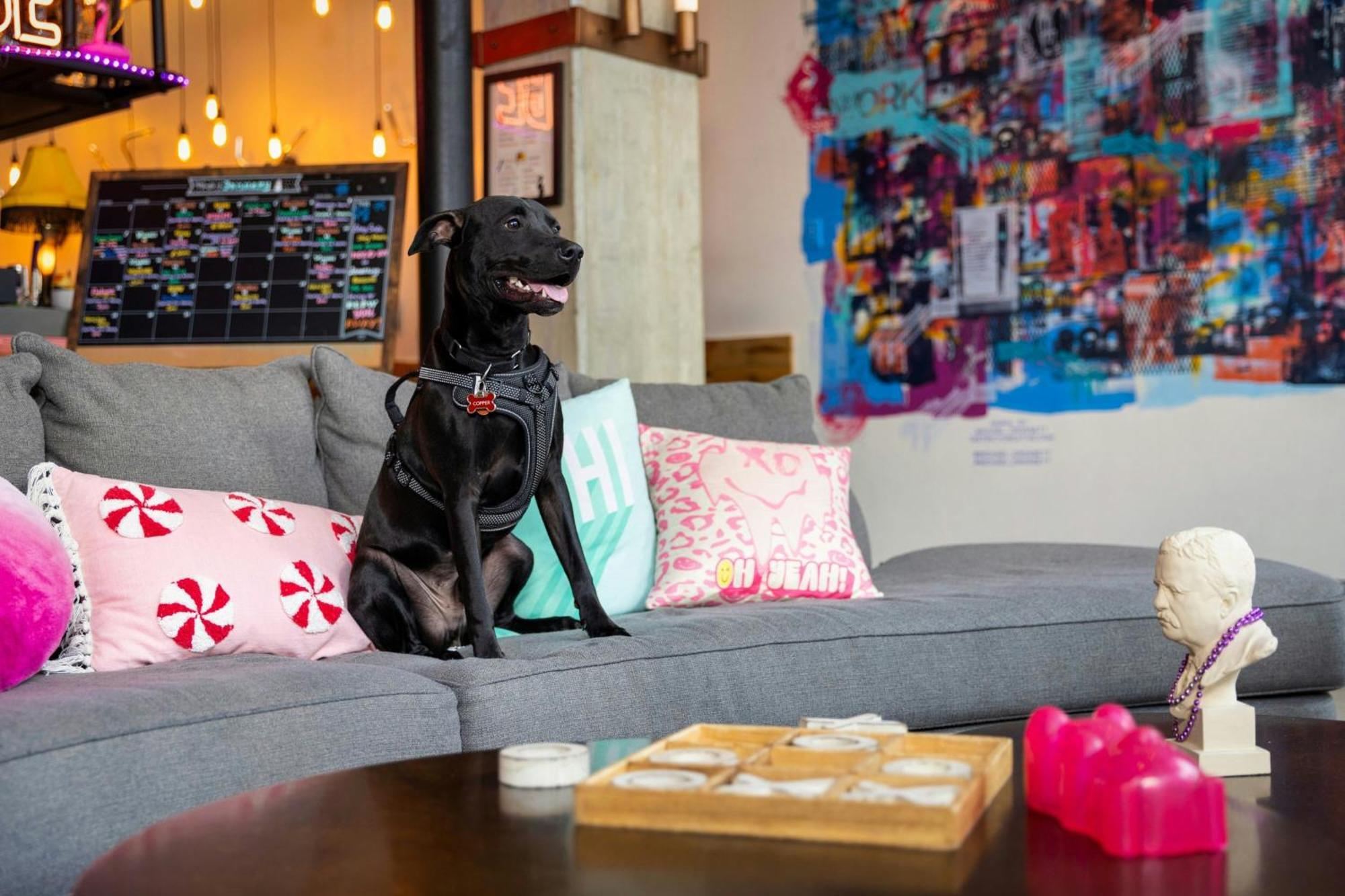 Moxy Washington, Dc Downtown Hotell Exteriör bild